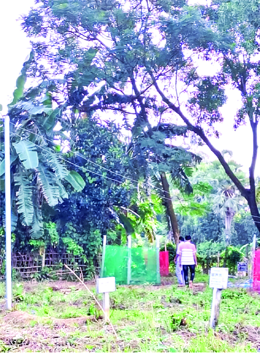 Image of মো: আব্দুল্লাহ আল মামুন
